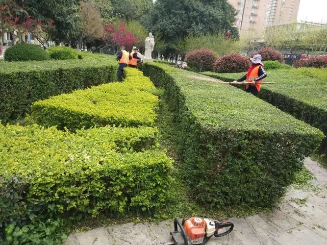 园林绿化工程对接项目