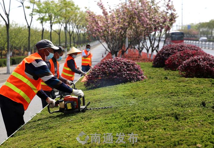 去哪里找绿化工程队员兼职