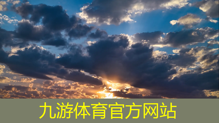 新北区绿化工程哪里实惠